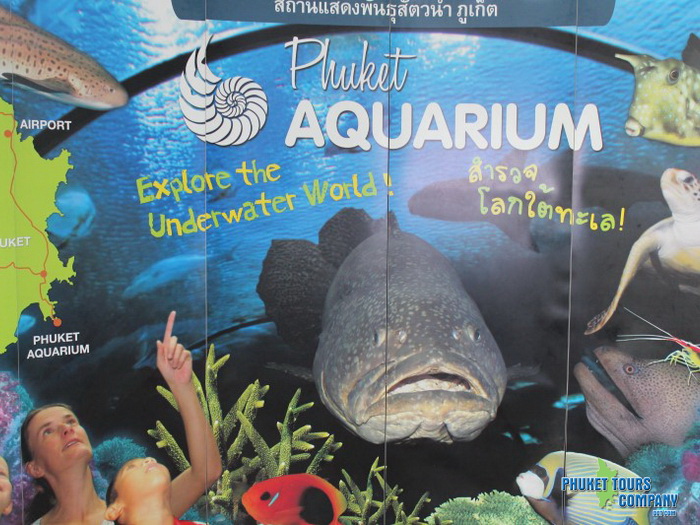 Phuket Aquarium